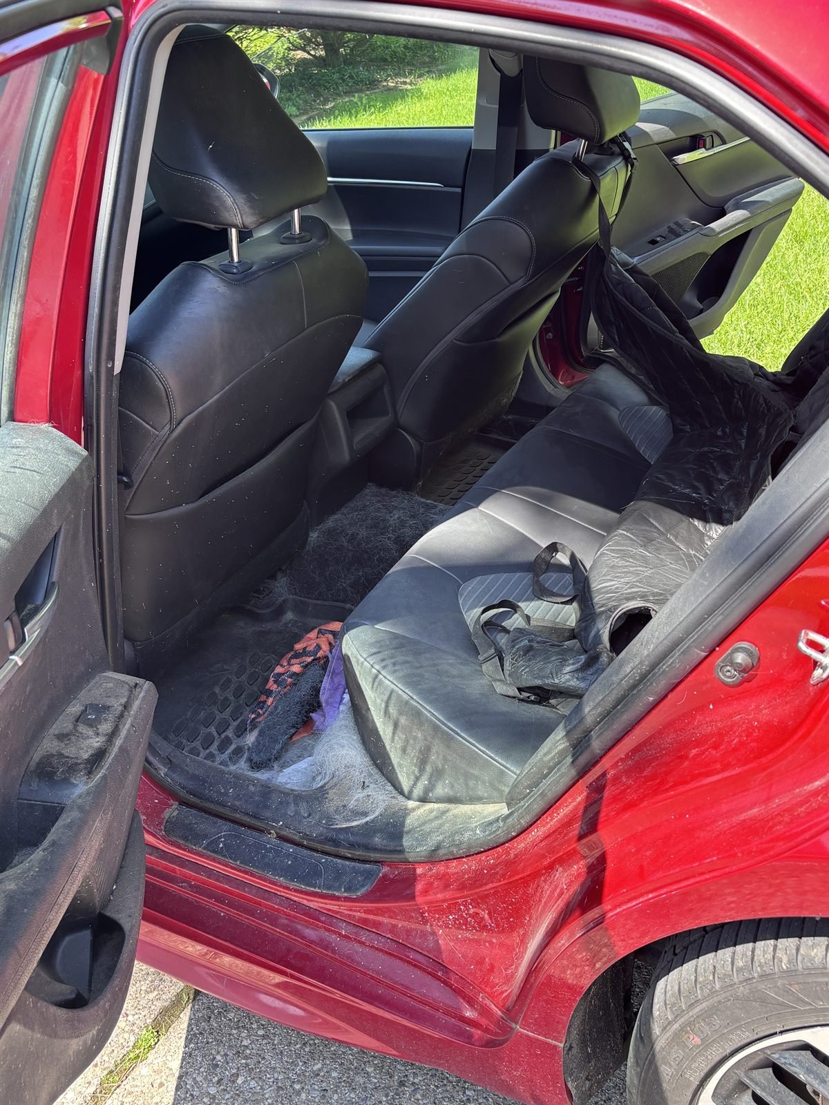 Before detailing: back seat of a sedan covered in pet hair and debris